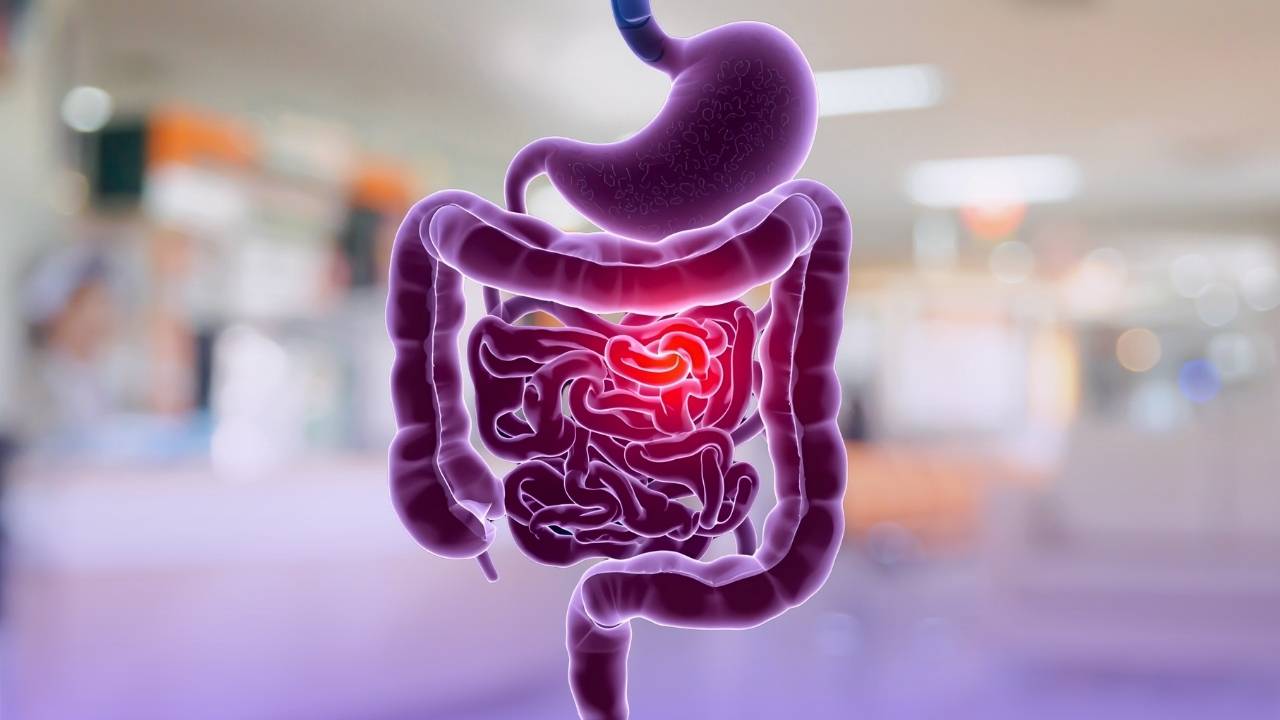 endoscopie digestive